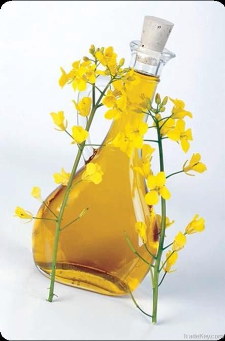 Canola Oil