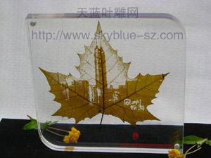 natural leaf carves------World exclamation