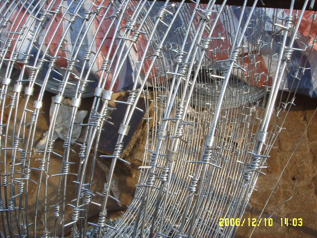 galvanized barbed wire