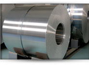 Galvanized Steel Coils