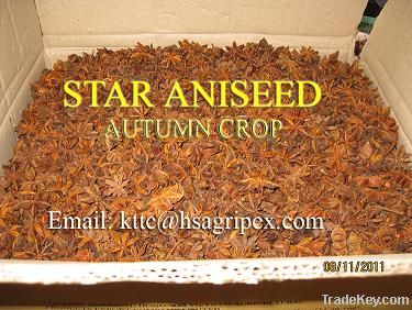 offer star aniseed autumn crop