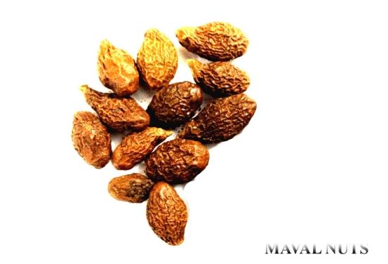 maval nuts