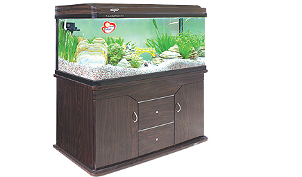 Cabinet Aquarium