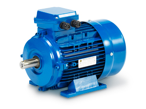 Y2E2 series cast iron electric motor