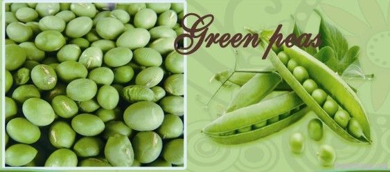 Canned Green Pea