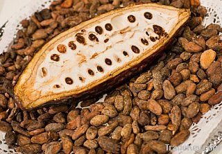 Cocoa Beans