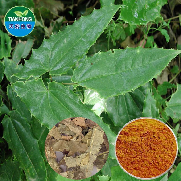 Epimedium Extract