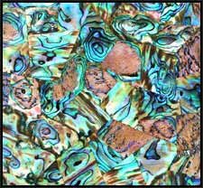 abalone shell tile