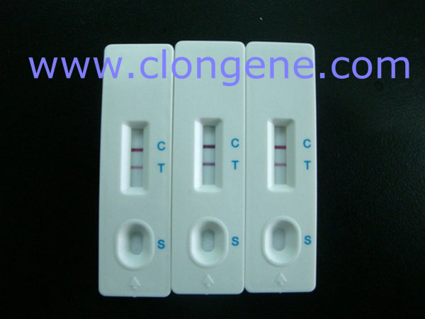 HBsAg Test Kits