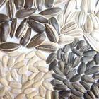 sunflower/pumpkin seeds