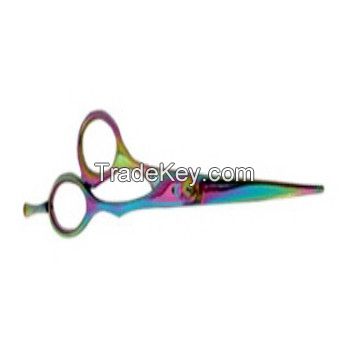 Hair Scissors