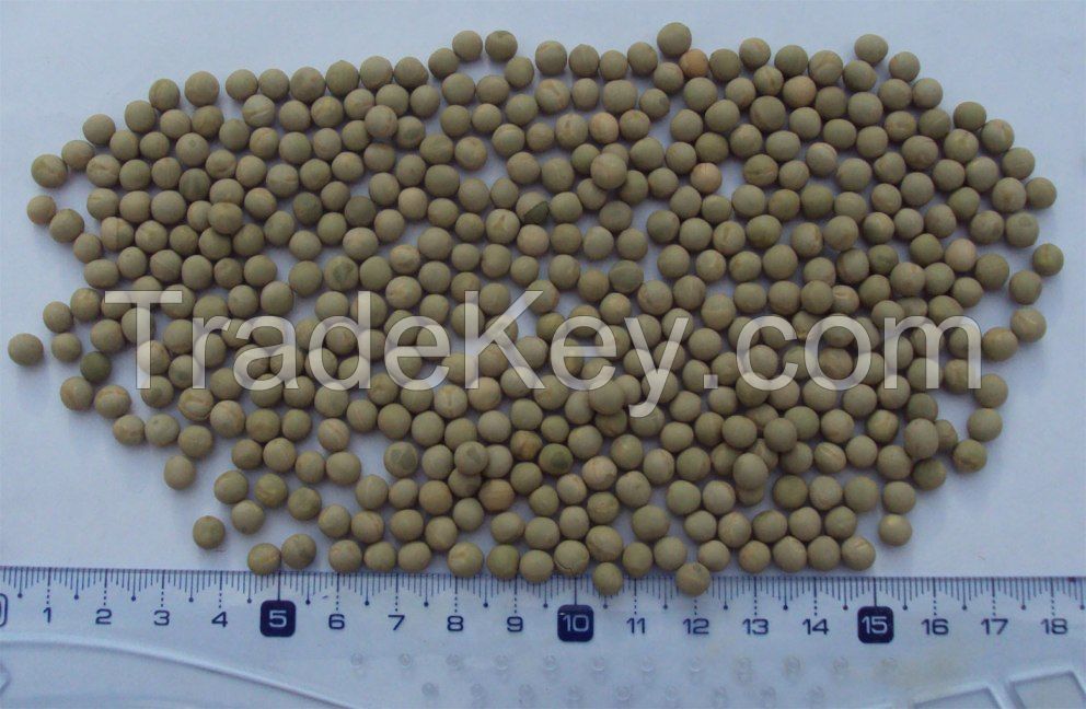 Peas and chickpeas from Argentina