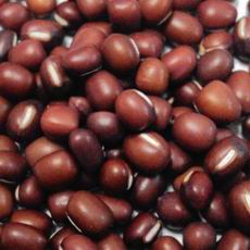 Chinese small red beans