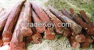 Red Sandalwood