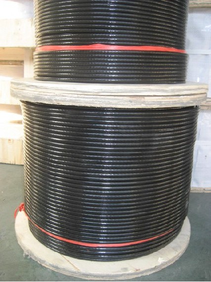 PVC Coated Stainless Steel Wire Rope