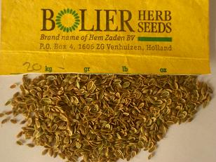 Dill seed