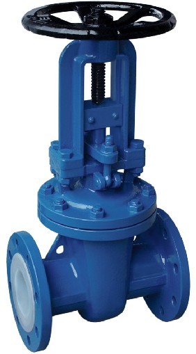 gate valve body 002