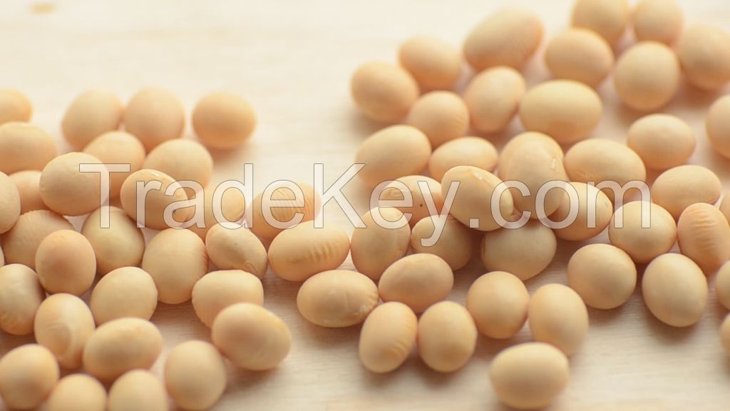 soya bean, organic soya bean , organic soyabean 