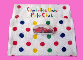 Cotton Hand Towel