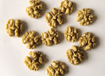 walnut kernels