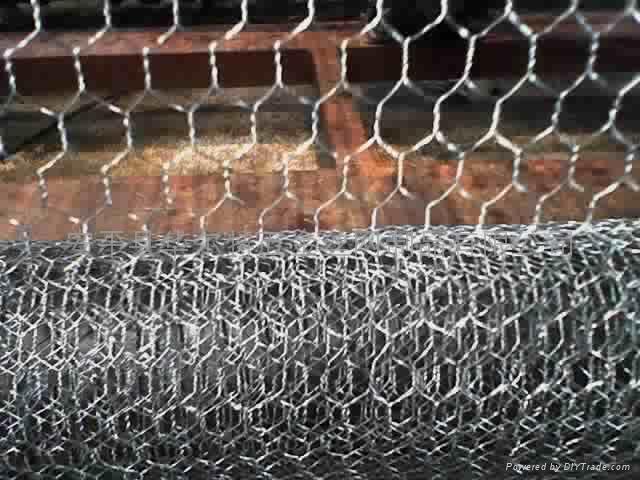 chicken wire