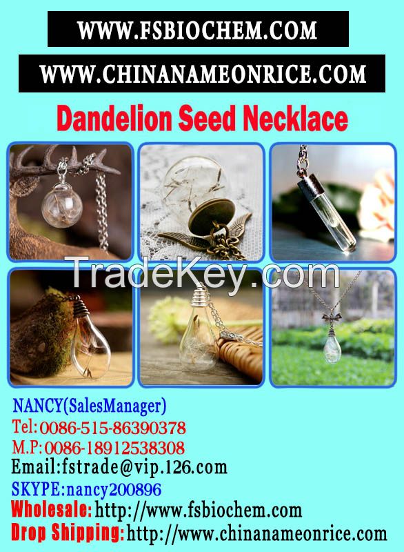 Dandelion seeds jewelry