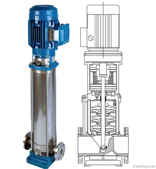 Vertical Multistage Centrifugal Pumps