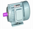 electric fan motor