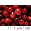 Cranberry extract