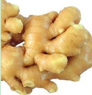 Gingerol