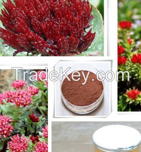 Rhodiola Rosea Extract Rosavins1% 2% 3%