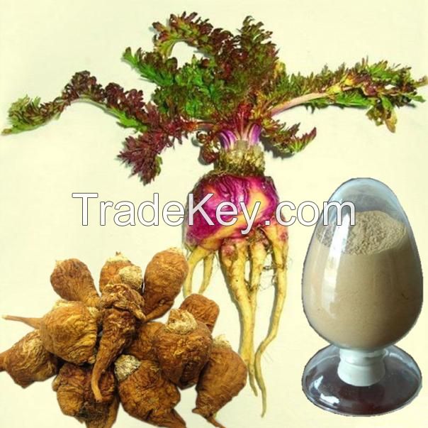 black maca root extract powder