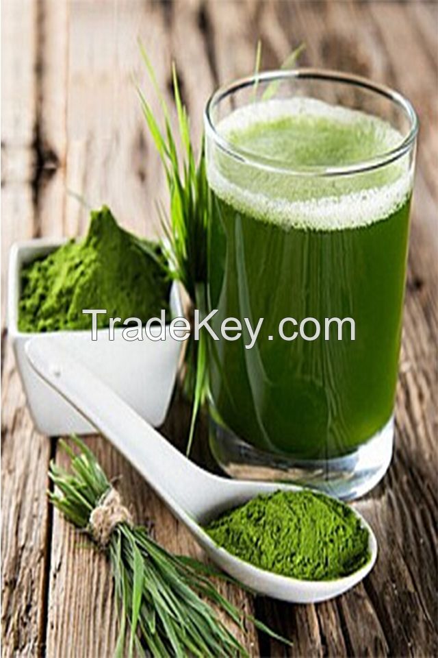 Barley Grass  Extract