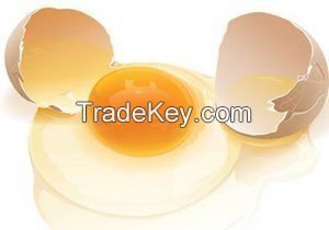 Egg Yolk Lecithin