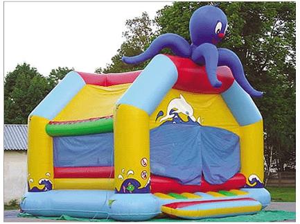 inflatable bouncers climbings slides trampoline castles park