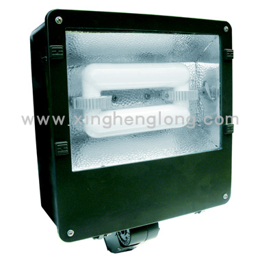 Induction flood light