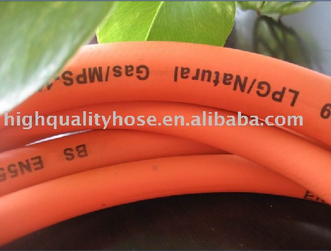 Gas Hose