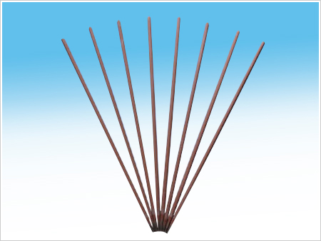 Stainless Steel Electrode