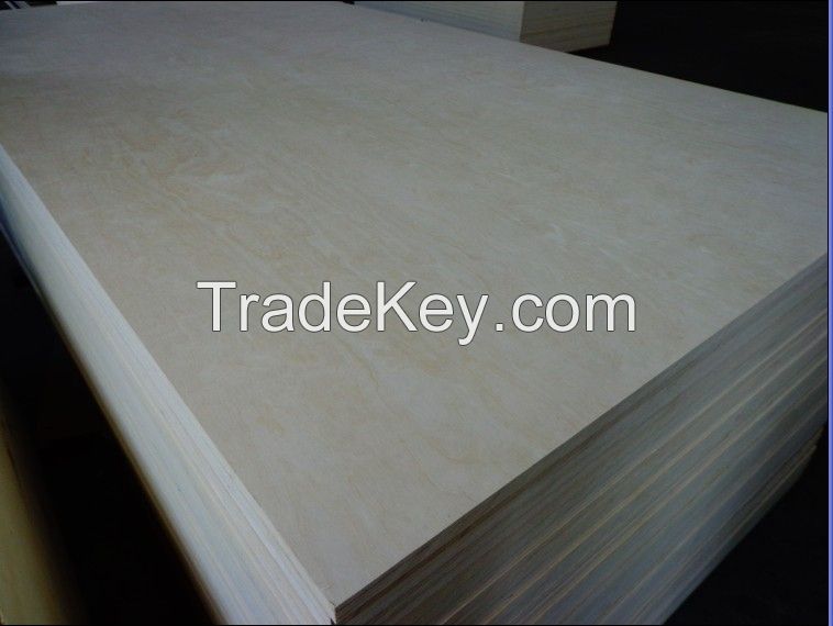 Birch Plywood,Russia Brich Plywood,White Birch Plywood