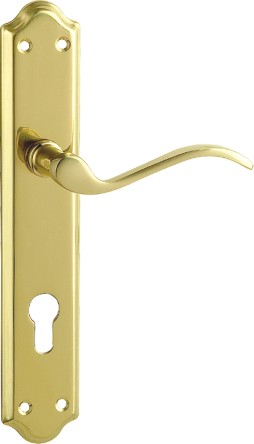 Door Handle on Plate 4794