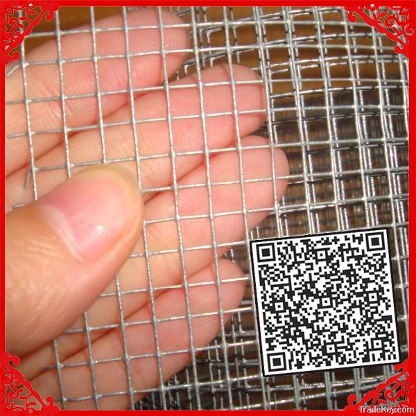 Galvanized Welded Wire Mesh