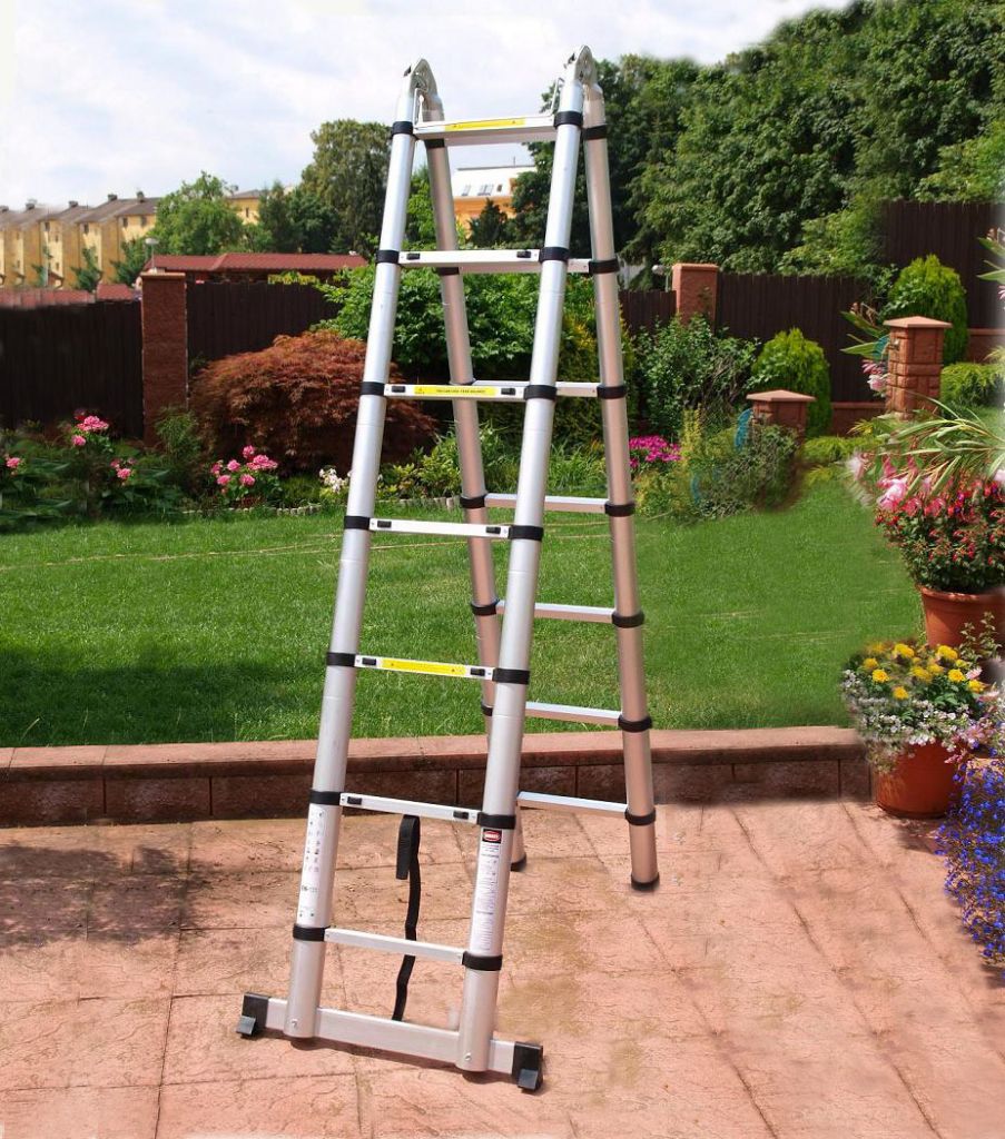 Telescopic Ladder