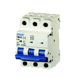 Mini Circuit Breaker TSM6-63