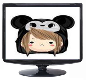 lcd monitor 17 inch