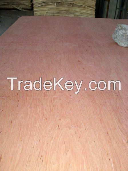 15mm Bintangor Faced Poplar Core Plywood for Commercial Usage