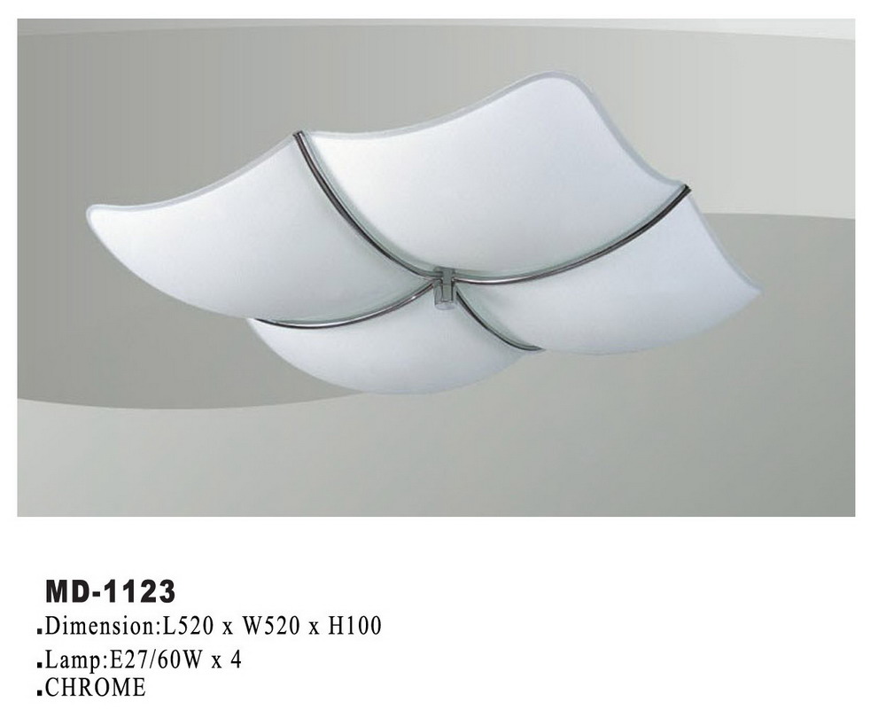 ceiling light