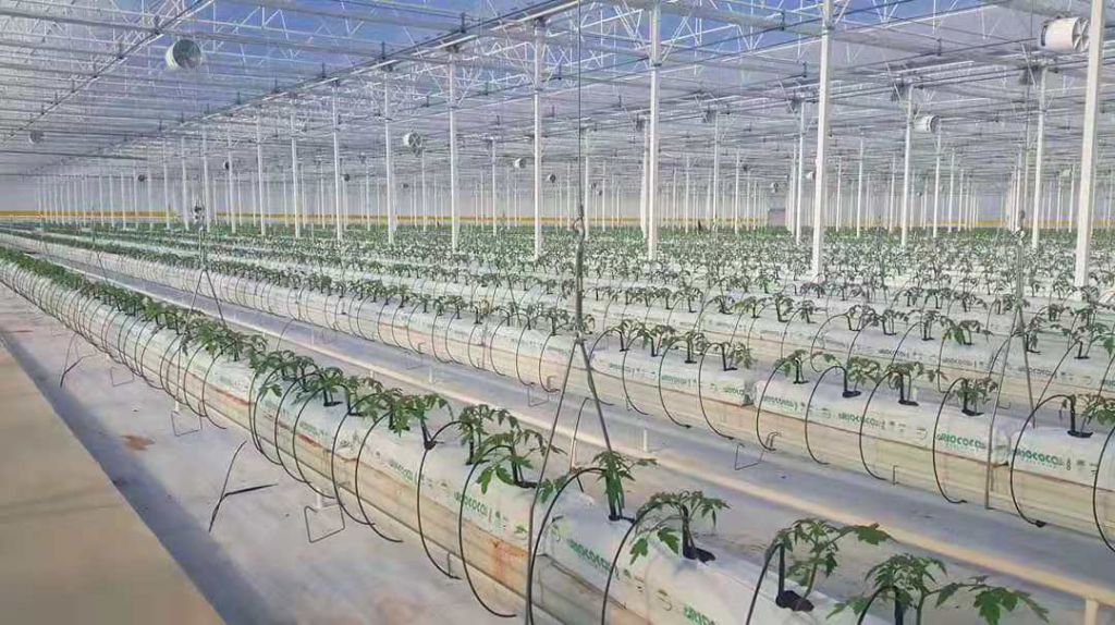 hot sale middle east market SXMW greenhouses for sale