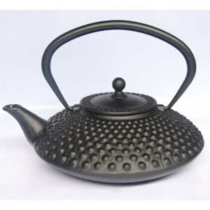 Cast Iron Teapot(T-009)