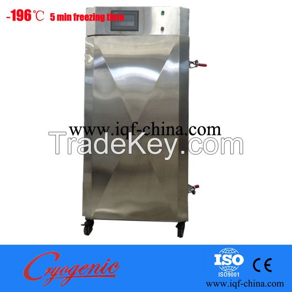 hot sales 100 kg/ hour  quick freezing equipment