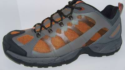 Climbing shoe